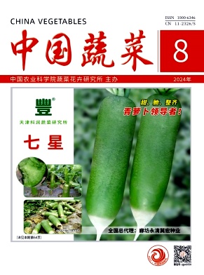 中国蔬菜封面